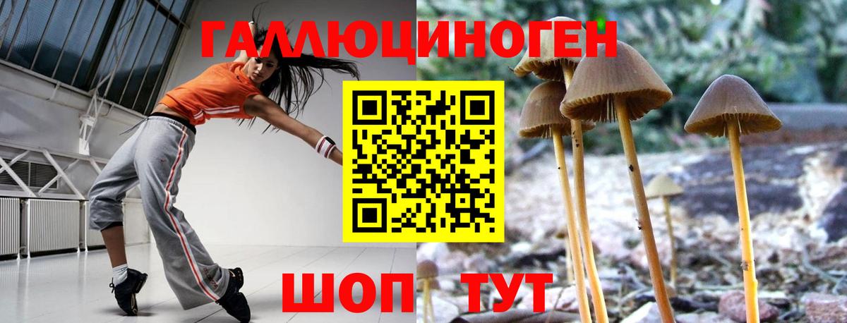 Воронеж  Псилоцибиновые грибы мухоморы  Вход с VPN 